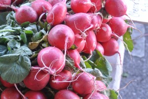 farmers1